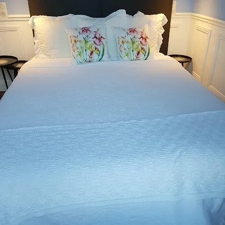 Tres Bel Vieux Port De Bastia (Corsica)