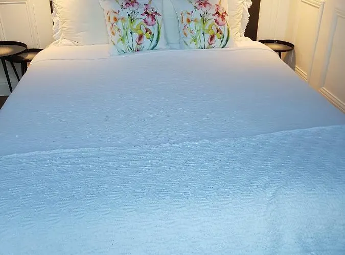 Tres Bel Vieux Port De Bastia (Corsica)