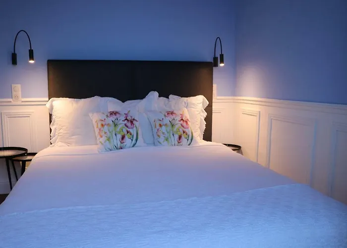 Tres Bel Vieux Port De Bastia (Corsica)